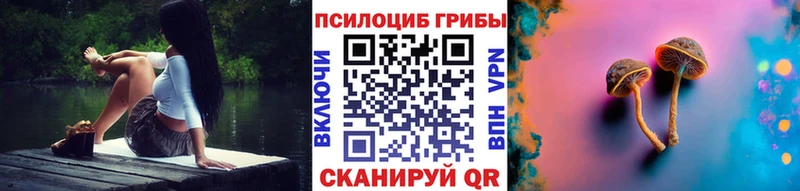 Псилоцибиновые грибы Psilocybine cubensis  Купить  Радужный 